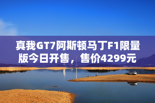 真我GT7阿斯顿马丁F1限量版今日开售，售价4299元起