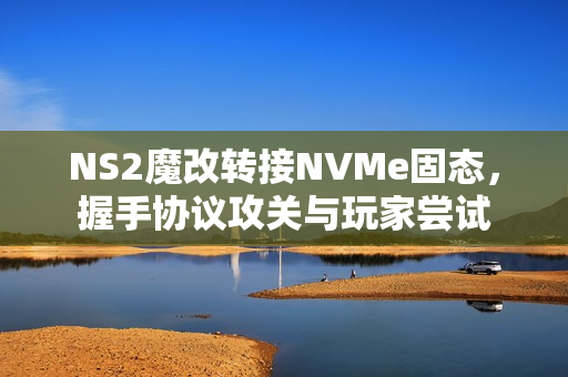 NS2魔改转接NVMe固态，握手协议攻关与玩家尝试