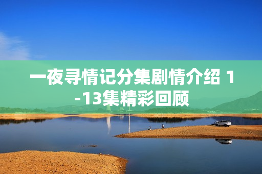 一夜寻情记分集剧情介绍 1-13集精彩回顾