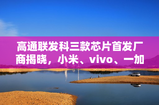 高通联发科三款芯片首发厂商揭晓,小米、vivo、一加联手首发 高通联发科三款芯片首发厂商揭晓,小米、vivo、一加联手首发