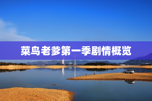 菜鸟老爹第一季剧情概览