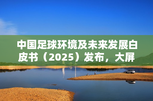 中国足球环境及未来发展白皮书（2025）发布，大屏电视成球迷新标配