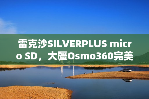 雷克沙SILVERPLUS micro SD，大疆Osmo360完美搭档之选