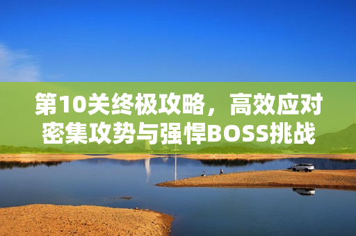 第10关终极攻略,高效应对密集攻势与强悍BOSS挑战 第10关终极攻略,高效应对密集攻势与强悍BOSS挑战