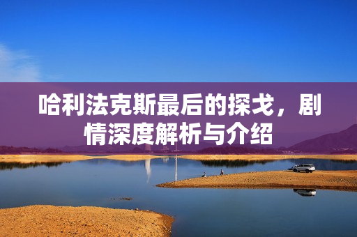 哈利法克斯最后的探戈，剧情深度解析与介绍