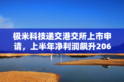 极米科技递交港交所上市申请，上半年净利润飙升2062%