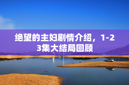 绝望的主妇剧情介绍，1-23集大结局回顾