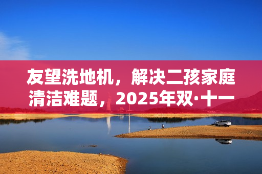 友望洗地机，解决二孩家庭清洁难题，2025年双·十一首选洗地机