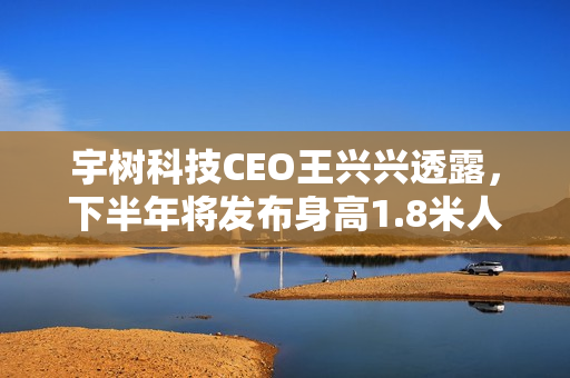 宇树科技CEO王兴兴透露，下半年将发布身高1.8米人形机器人重磅来袭