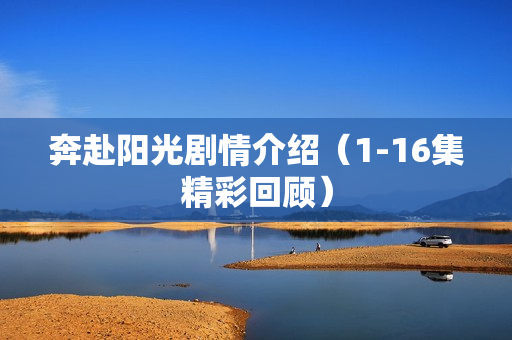 奔赴阳光剧情介绍（1-16集精彩回顾）