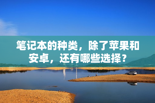 笔记本的种类，除了苹果和安卓，还有哪些选择？