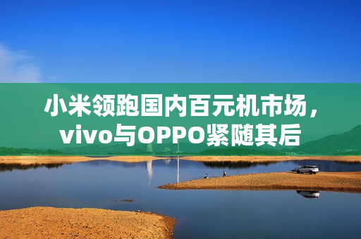 小米领跑国内百元机市场,vivo与OPPO紧随其后 小米领跑国内百元机市场,vivo与OPPO紧随其后