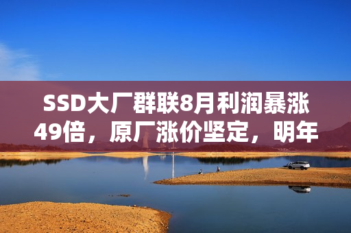 SSD大厂群联8月利润暴涨49倍，原厂涨价坚定，明年缺货趋势明显