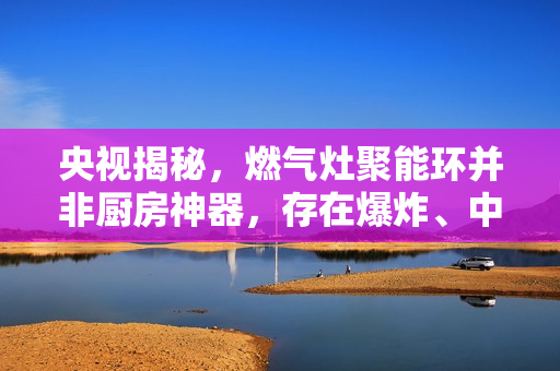 央视揭秘，燃气灶聚能环并非厨房神器，存在爆炸、中毒风险，不节能实情曝光