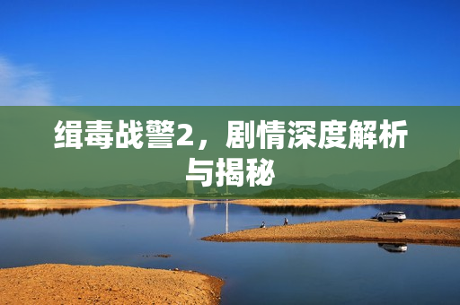 缉毒战警2，剧情深度解析与揭秘