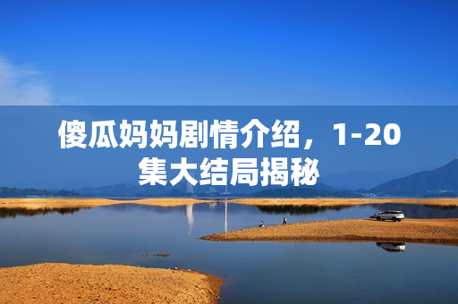 傻瓜妈妈剧情介绍,1-20集大结局揭秘 傻瓜妈妈剧情介绍,1-20集大结局揭秘