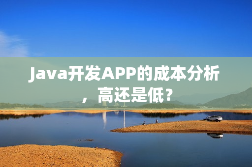 Java开发APP的成本分析，高还是低？