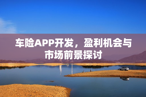 车险APP开发，盈利机会与市场前景探讨