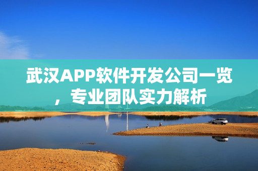 武汉APP软件开发公司一览，专业团队实力解析