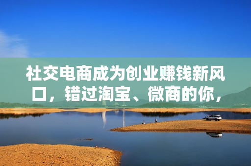 社交电商成为创业赚钱新风口，错过淘宝、微商的你，别再错过这一机遇！