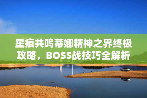 星痕共鸣蒂娜精神之界终极攻略，BOSS战技巧全解析与攻略分享