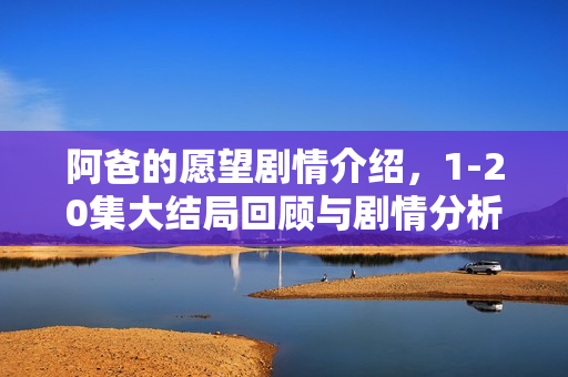 阿爸的愿望剧情介绍，1-20集大结局回顾与剧情分析