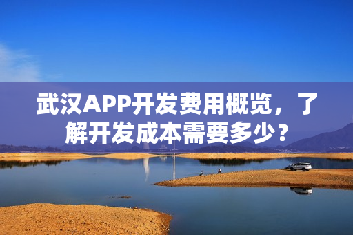 武汉APP开发费用概览,了解开发成本需要多少? 武汉APP开发费用概览,了解开发成本需要多少?
