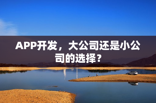 APP开发，大公司还是小公司的选择？