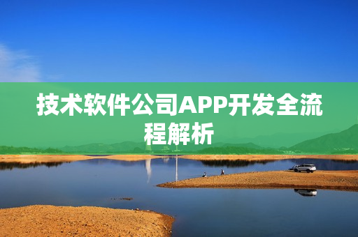 技术软件公司APP开发全流程解析