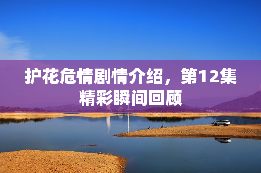 护花危情剧情介绍，第12集精彩瞬间回顾