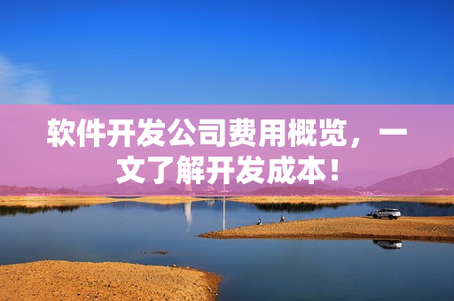 软件开发公司费用概览,一文了解开发成本! 软件开发公司费用概览,一文了解开发成本!