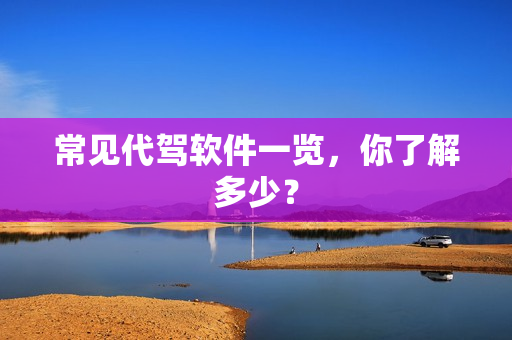 常见代驾软件一览,你了解多少? 常见代驾软件一览,你了解多少?