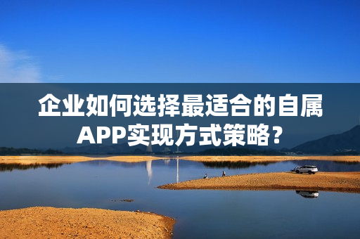 企业如何选择最适合的自属APP实现方式策略？
