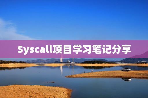 Syscall项目学习笔记分享