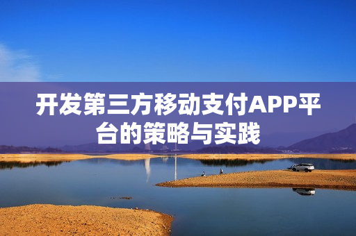 开发第三方移动支付APP平台的策略与实践