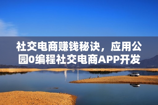 社交电商赚钱秘诀，应用公园0编程社交电商APP开发解析