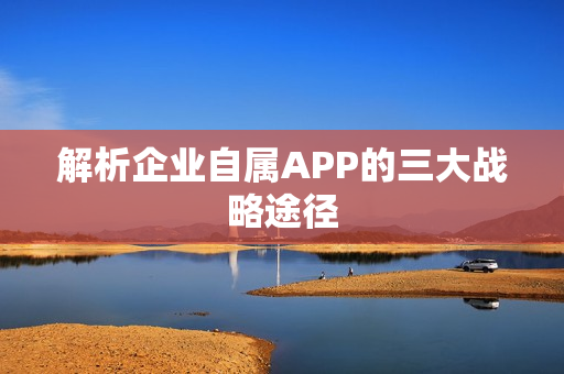 解析企业自属APP的三大战略途径 解析企业自属APP的三大战略途径