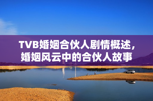 TVB婚姻合伙人剧情概述,婚姻风云中的合伙人故事 TVB婚姻合伙人剧情概述,婚姻风云中的合伙人故事