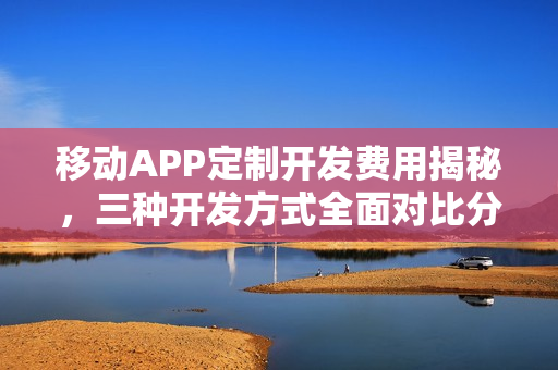 移动APP定制开发费用揭秘，三种开发方式全面对比分析