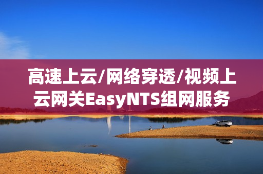 高速上云/网络穿透/视频上云网关EasyNTS组网服务任务管理器停止原因解析