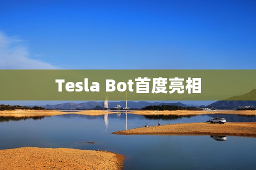 Tesla Bot首度亮相