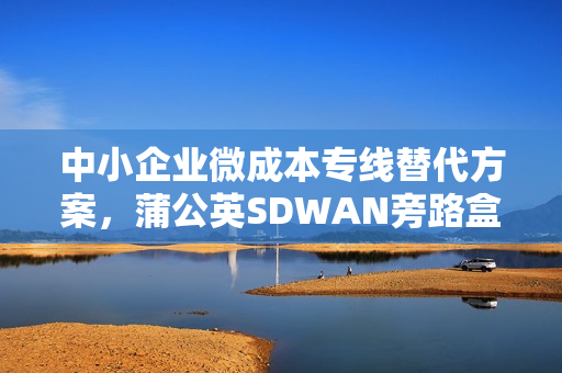 中小企业微成本专线替代方案，蒲公英SDWAN旁路盒子应用