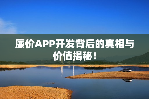 廉价APP开发背后的真相与价值揭秘！