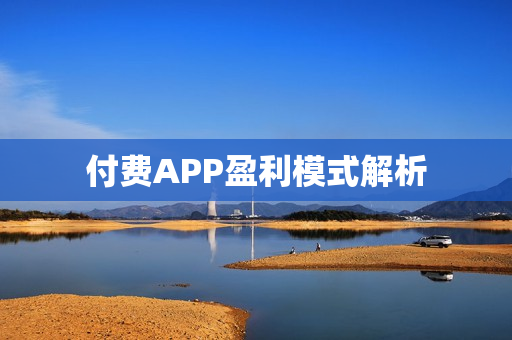 付费APP盈利模式解析