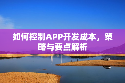 如何控制APP开发成本，策略与要点解析