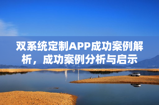 双系统定制APP成功案例解析，成功案例分析与启示