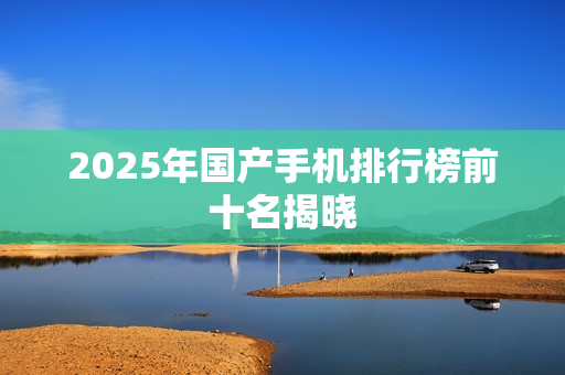 2025年国产手机排行榜前十名揭晓