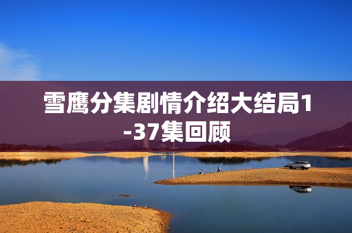 雪鹰分集剧情介绍大结局1-37集回顾
