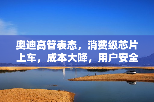 奥迪高管表态，消费级芯片上车，成本大降，用户安全无忧