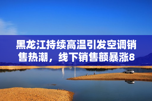 黑龙江持续高温引发空调销售热潮，线下销售额暴涨800%